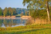 Nussbaumersee 1-nussbaumersee